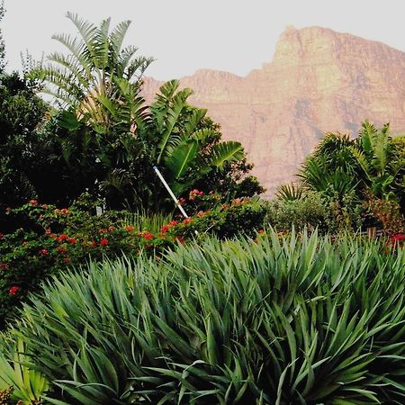 Bakoven Cottage Cape Town Oda fotoğraf