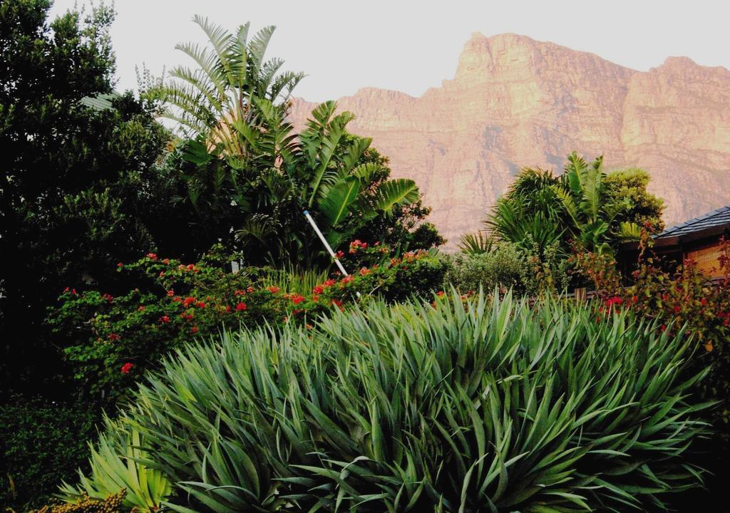 Bakoven Cottage Cape Town Oda fotoğraf